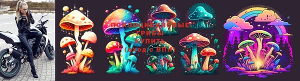 гидра Алексин