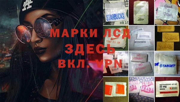 гидропоника Алзамай