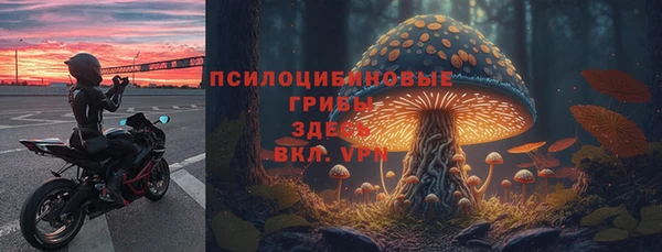 гидра Алексин