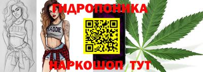 ALPHA PVP Ставрополь