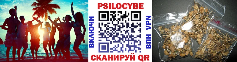 Галлюциногенные грибы MAGIC MUSHROOMS  это формула  Нижнеудинск  MEGA ТОР 