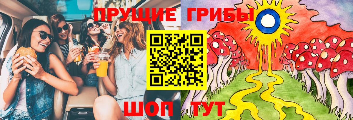 Нижнеудинск  Галлюциногенные грибы Cubensis  даркнет сайт  Вход с VPN 