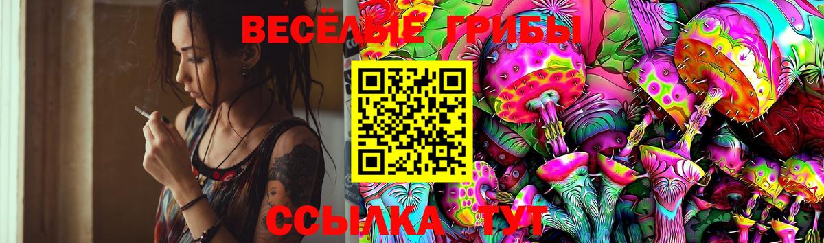 Псилоцибиновые грибы Cubensis Нижнеудинск