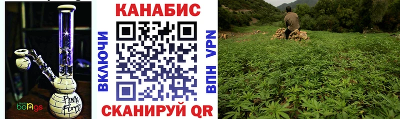 Бошки Шишки тримм  Нижнеудинск 